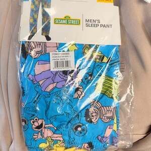 Bioworld Sesame Street Men's Lounge Pants - Blue and Green NWT